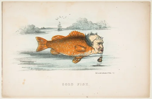 Gold Fish (Francis M. Drexel), from "The Comic Natural History of the Human Race" by Henry Louis Stephens, print, 1851