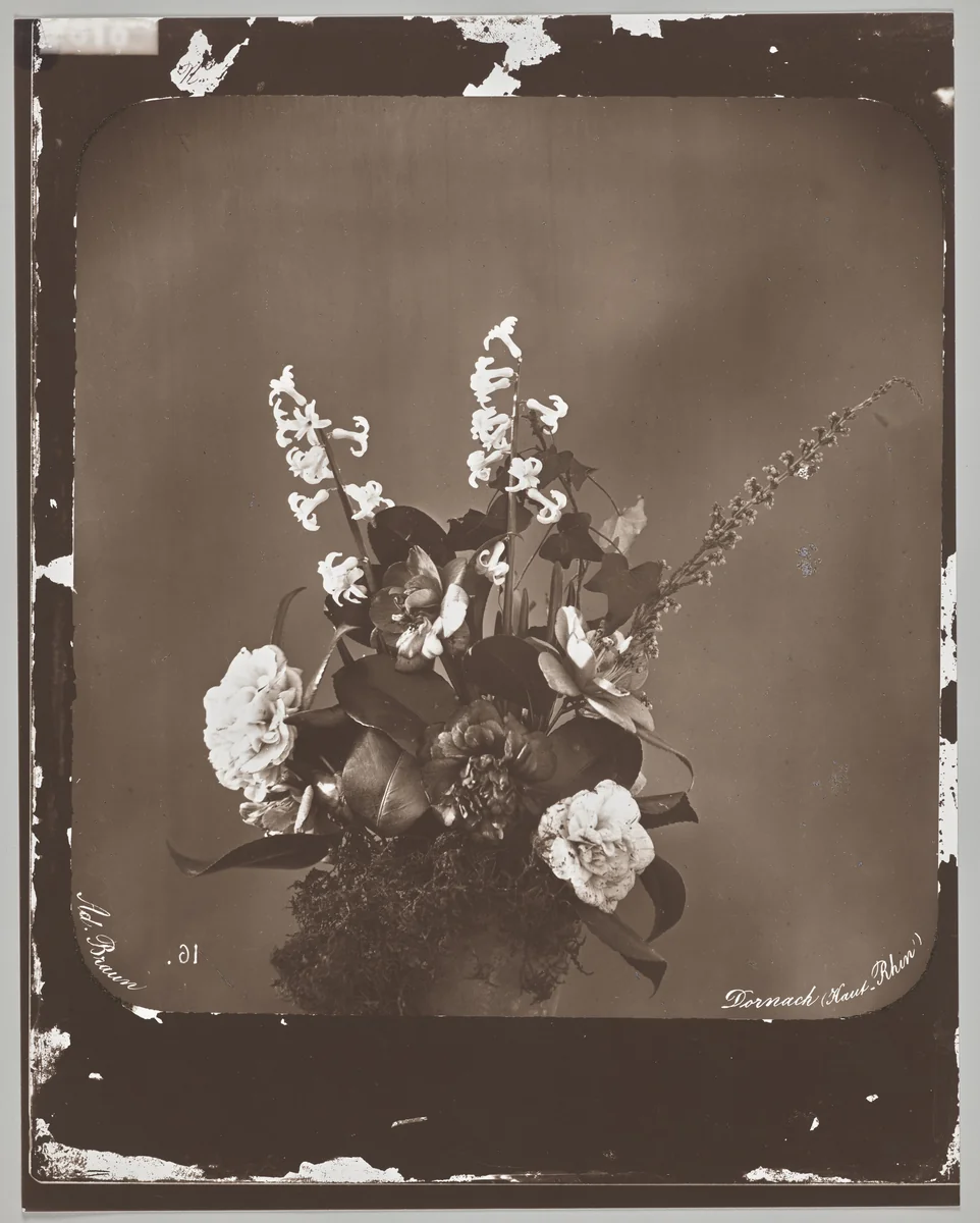 Untitled (flower arrangement) by Adolphe Braun, photograph, 1850-1855
