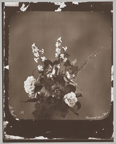 Untitled (flower arrangement) by Adolphe Braun, photograph, 1850-1855