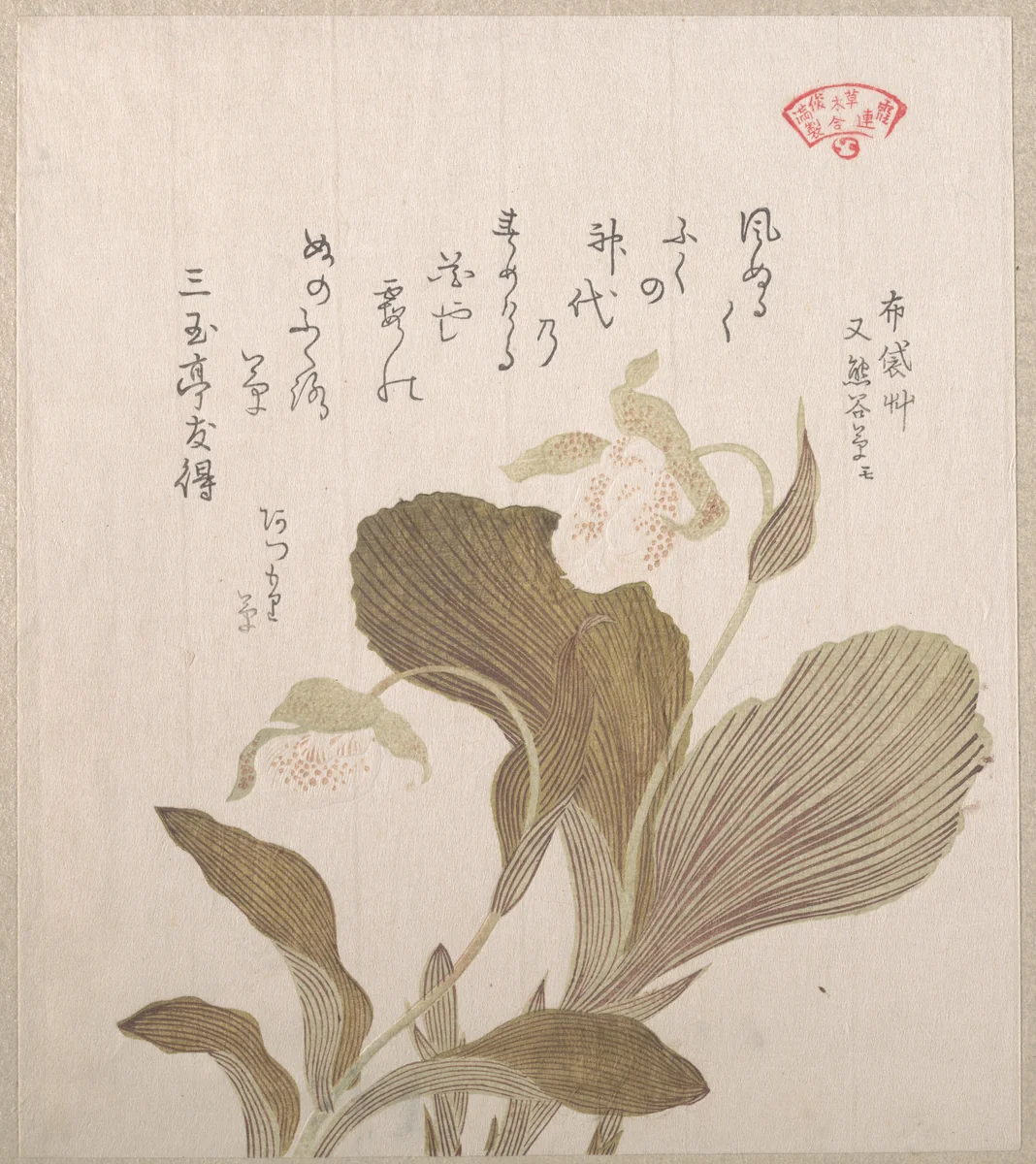 Hotei Flowers by Kubo Shunman (窪俊満), print, 1800-1899