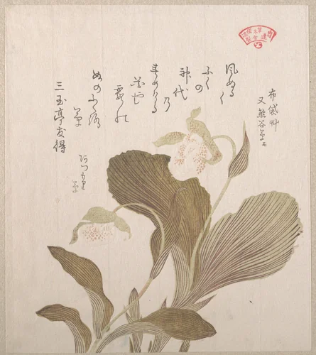Hotei Flowers by Kubo Shunman (窪俊満), print, 1800-1899