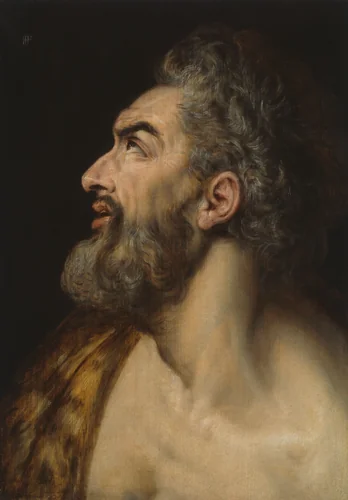 Study Head of a Bearded Man by Frans Floris, painting, 1560-1570