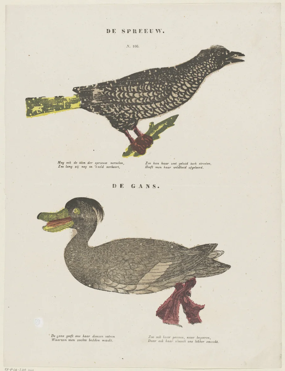 De spreeuw / De gans by Unknown, print, 1555