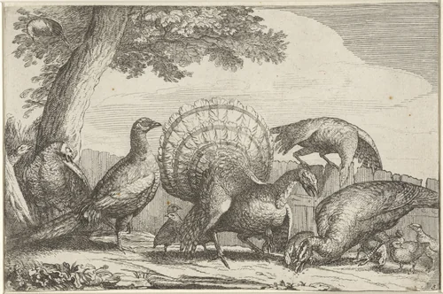 Kalkoenen by anonymous, print, 1650-1750