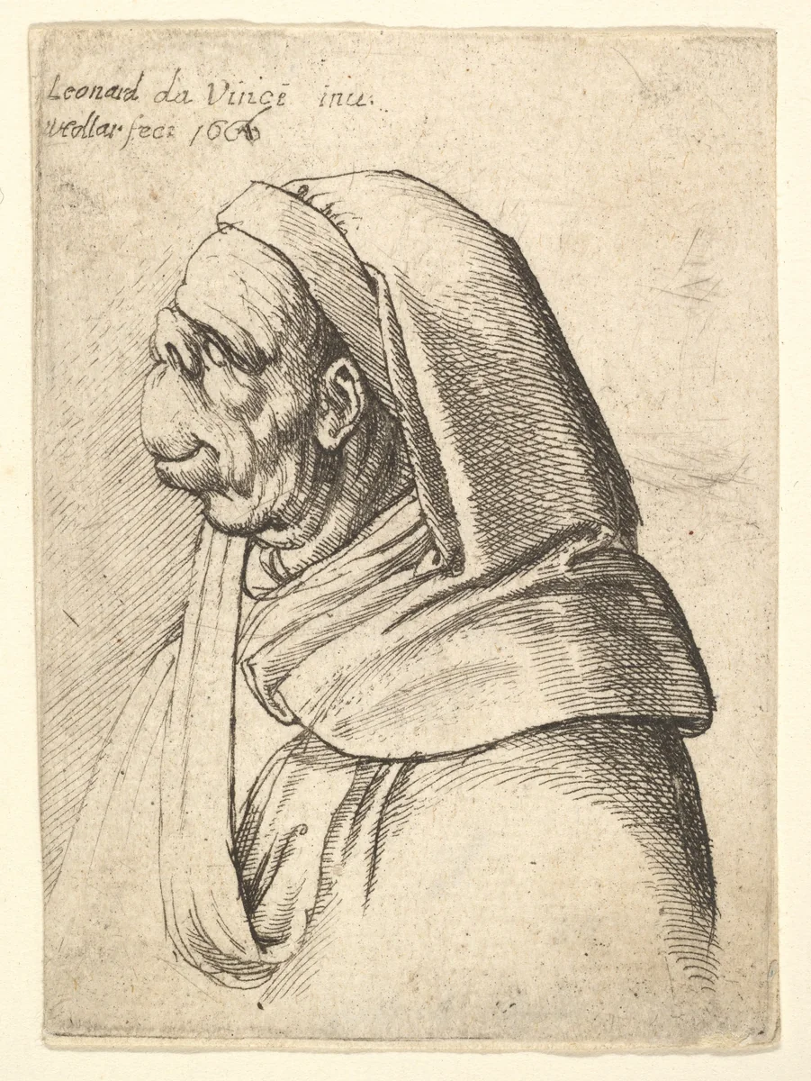Bust of a man with a small turned-up nose and very high upper lip, wearing hood, in profile to the left by Wenceslaus Hollar, print, 1666