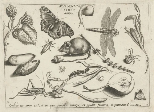 Dieren, planten en vruchten rond een muis by Jacob Hoefnagel, print, 1592