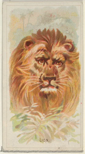 Lion, from the Wild Animals of the World series (N25) for Allen & Ginter Cigarettes by Allen & Ginter, print, 1888