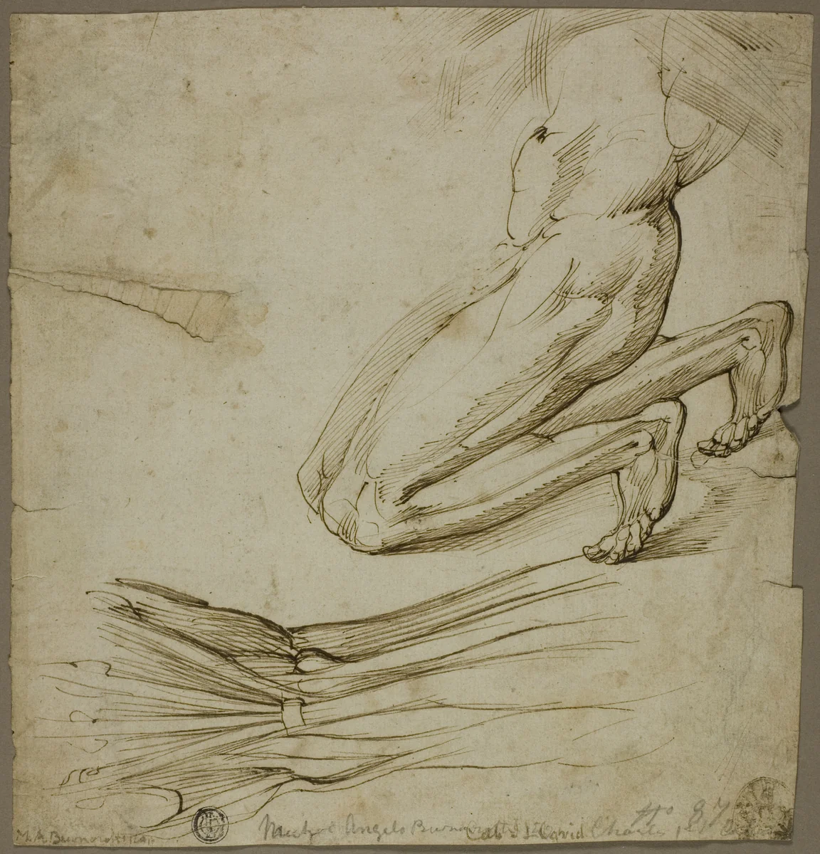 Anatomical Study and Sketch of Kneeling Figure by Michelangelo Buonarroti, drawing, 1475-1564