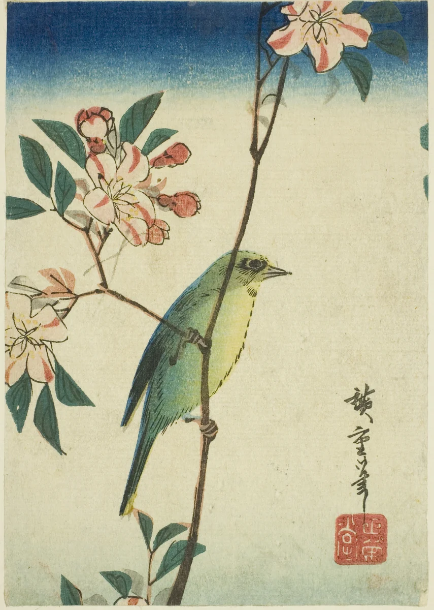 Japanese white-eye on flowering branch by Utagawa Hiroshige (歌川広重), print, 1830-1849