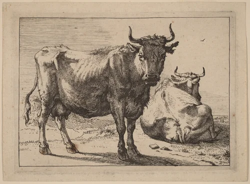 A Cow Standing and Another Lying Down by Paulus Potter, print, 1650