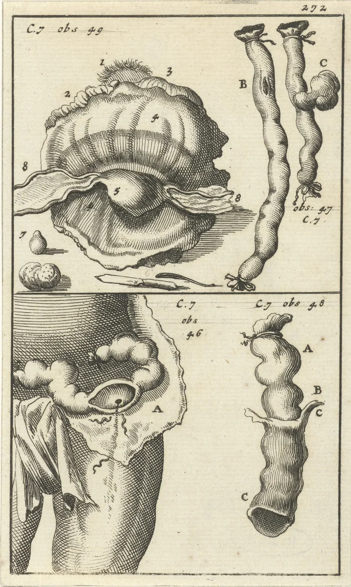 Anatomische afbeelding XIX by Jan Luyken, print, 1680-1688