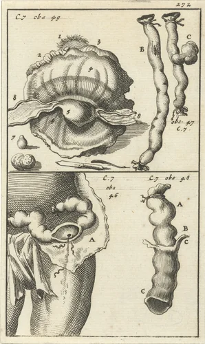 Anatomische afbeelding XIX by Jan Luyken, print, 1680-1688