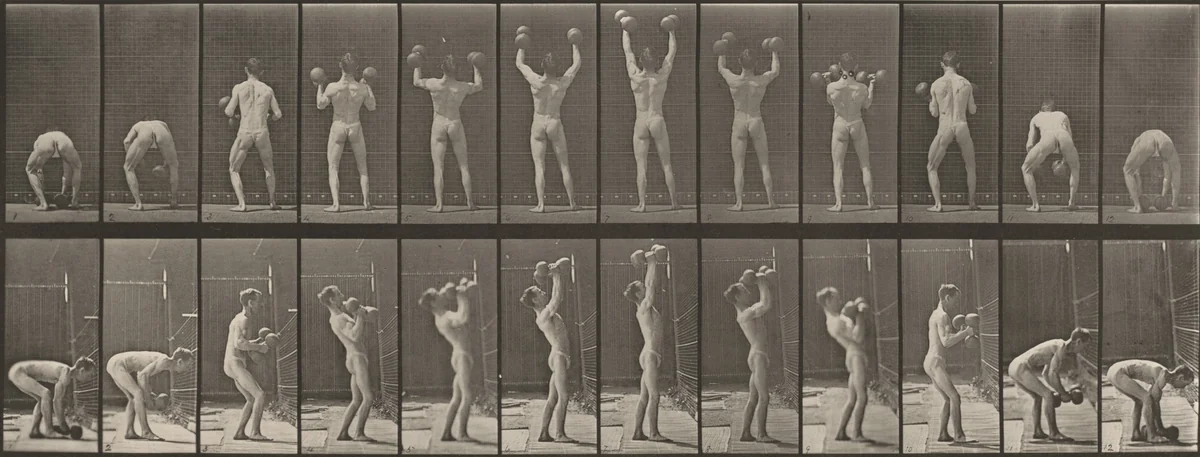 Plate Number 323. Lifting and letting down two 50-lb. dumbbells by Eadweard Muybridge, photograph, 1887