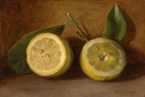 Lemons by George Henry Hall, painting, 1884