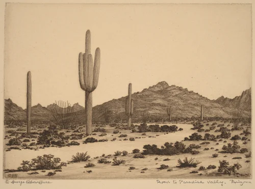 Road to Paradise Valley, Arizona by George Elbert Burr, print, 1921-1931