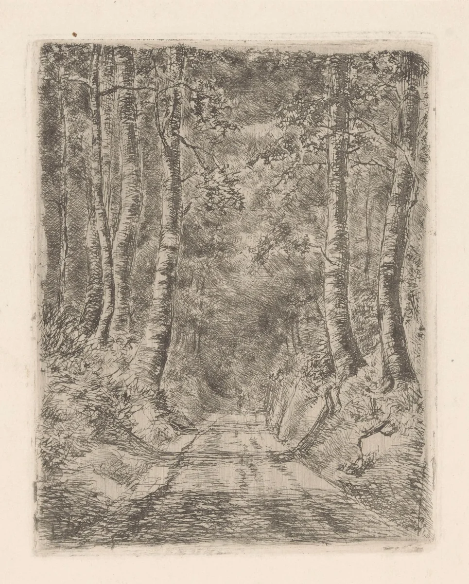 Bos langs een holle weg by Marie Adolphine van der Goes van Dirxland, print, 1854-1878