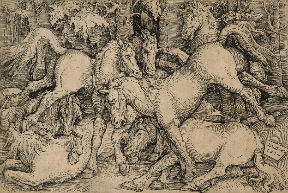 Wild Horses Fighting by Hans Baldung Grien, print, 1534