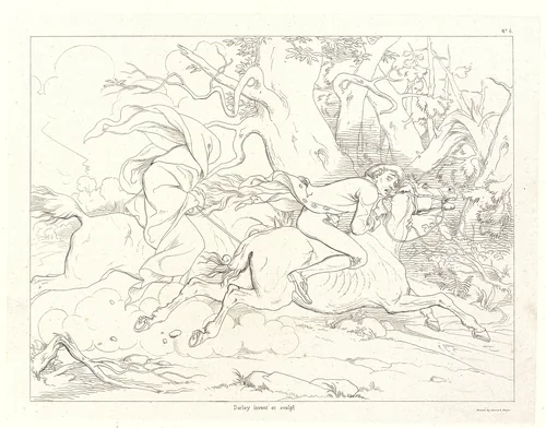 Washington Irving's Illustrations of the Legend of Sleepy Hollow, Designed and Etched by F.O.C. Darley for the Members of the American Art Union, 1850 by Felix Darley, book, 1849-1850