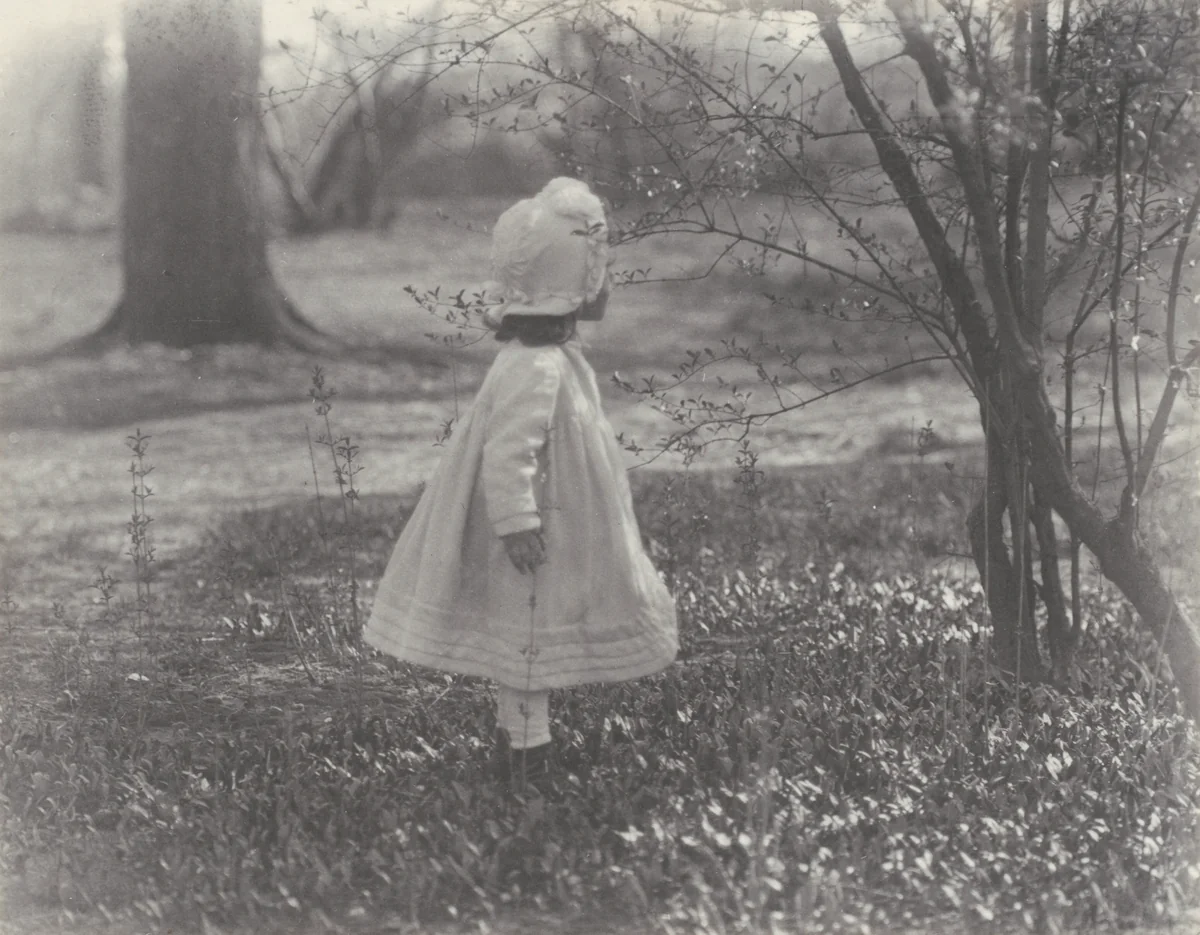 Spring by Alfred Stieglitz, photograph, 1901-1937
