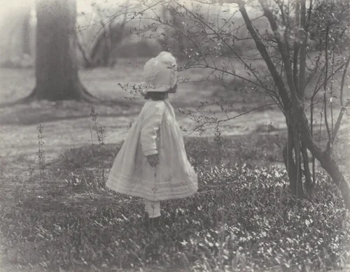 Spring by Alfred Stieglitz, photograph, 1901-1937