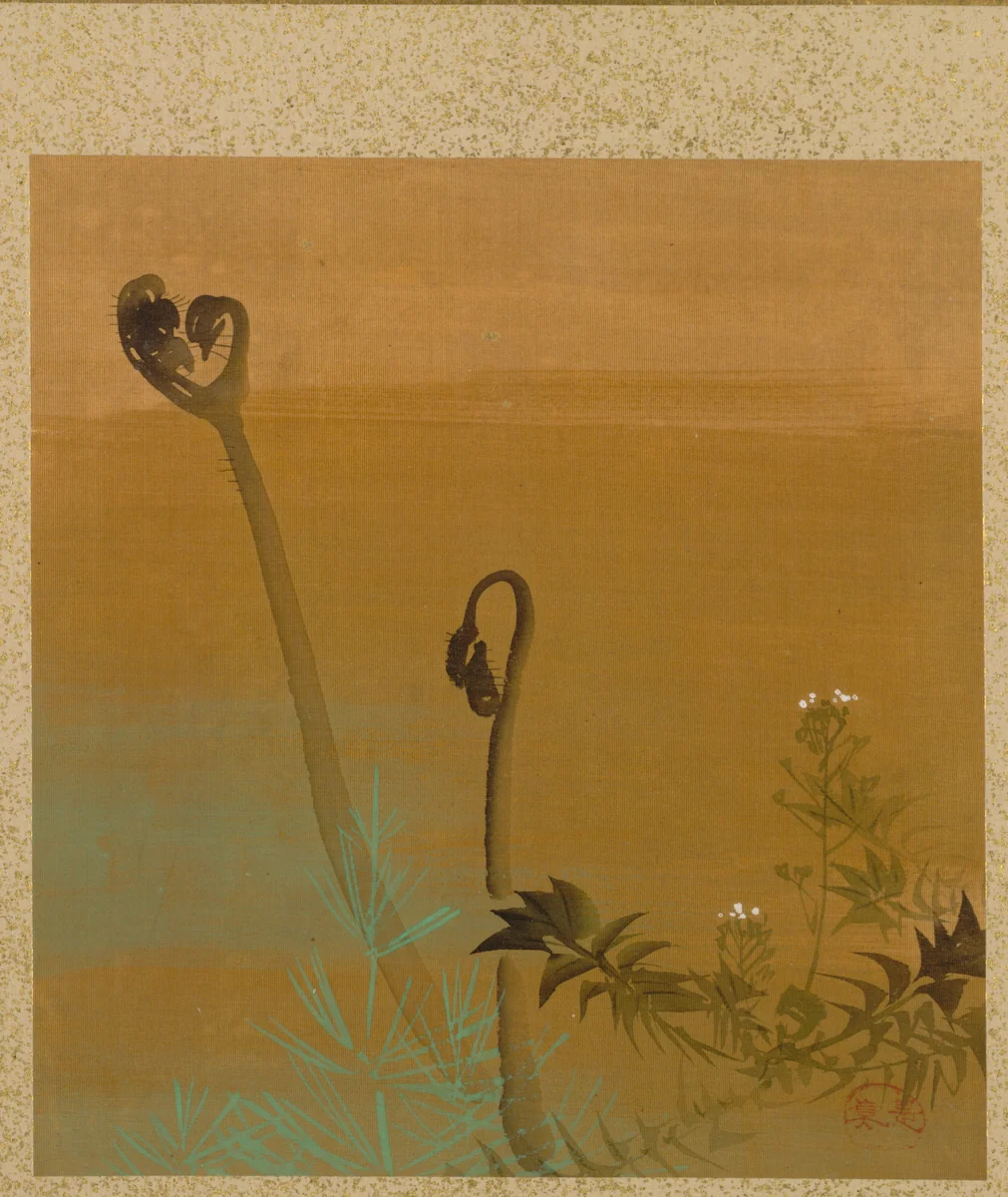 New Ferns from Album of Paintings by the Venerable Zeshin by Shibata Zeshin (柴田是真), book, 1847