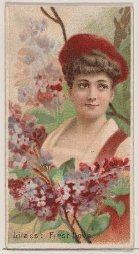 Lilacs: First Love, from the series Floral Beauties and Language of Flowers (N75) for Duke brand cigarettes by American Tobacco Company, print, 1892