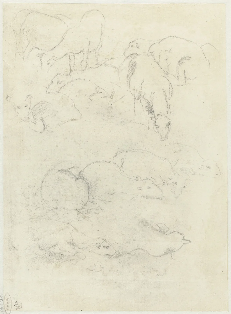 Groepen grazende en liggende schapen by Federico Barocci, drawing, 1545-1595