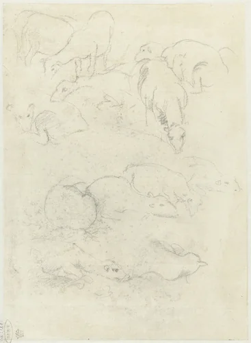 Groepen grazende en liggende schapen by Federico Barocci, drawing, 1545-1595