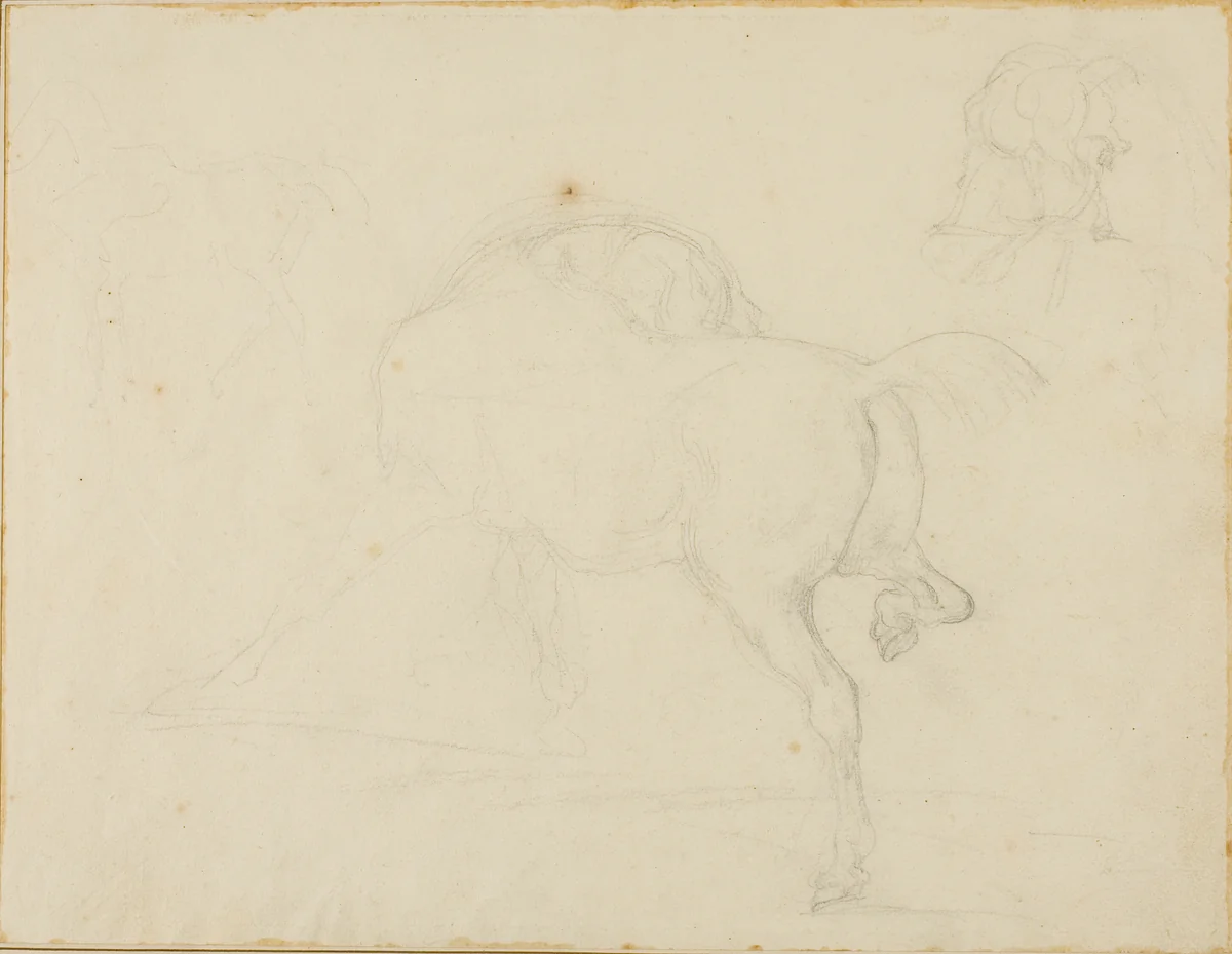 Study of a Horse Turning Its Head and Raising His Hind Leg by Jean Louis André Théodore Géricault, drawing, 1818-1819