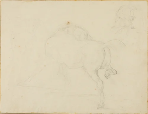 Study of a Horse Turning Its Head and Raising His Hind Leg by Jean Louis André Théodore Géricault, drawing, 1818-1819