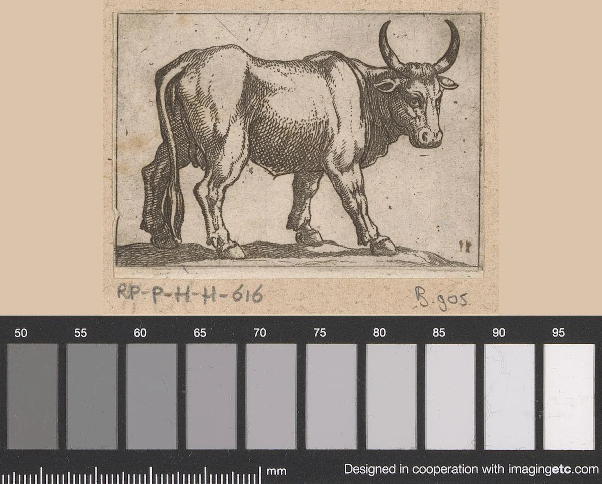 Staande stier naar rechts gewend by Antonio Tempesta, print, 1565-1630