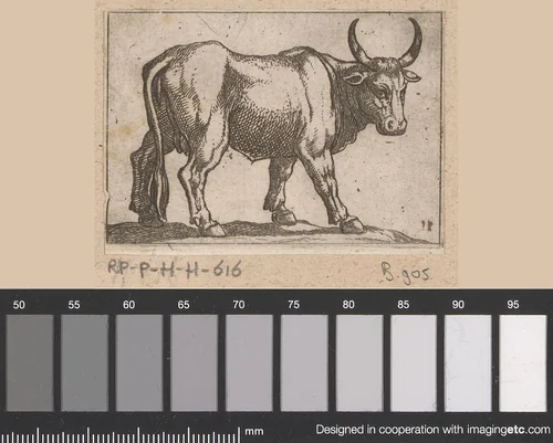 Staande stier naar rechts gewend by Antonio Tempesta, print, 1565-1630