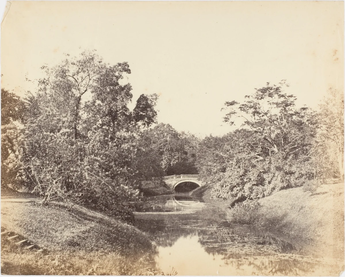 [Botanical Gardens, Calcutta] by R. B. Hill, photograph, 1850-1859