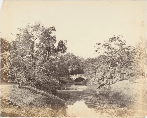 [Botanical Gardens, Calcutta] by R. B. Hill, photograph, 1850-1859