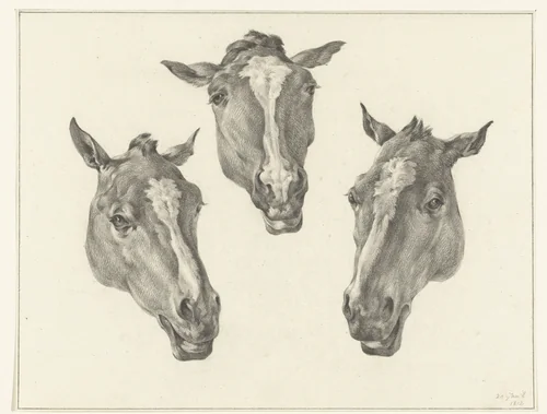 Drie paardenhoofden by Jean Bernard, drawing, 1812
