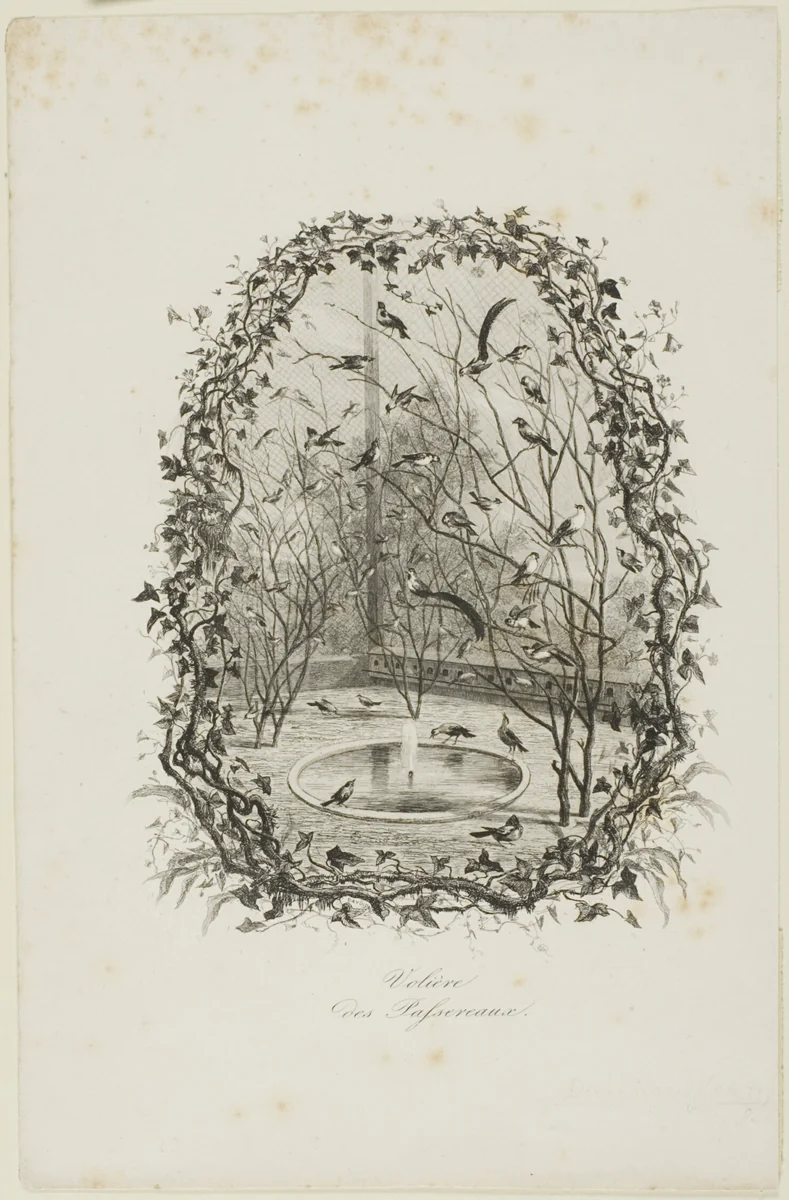 The Sparrow Aviary by Charles-François Daubigny, print, 1843