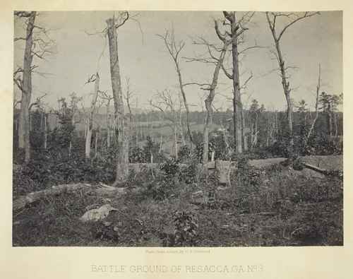 Battle Ground of Resacca, GA, No. 3 by George Barnard, photograph, 1866