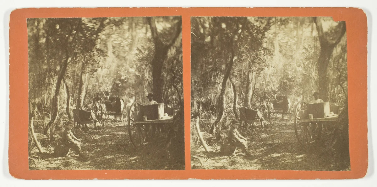 Moss Avenue, Fort George, Florida by Artist Unknown, photograph, 1872