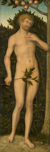 Adam by Lucas Cranach the Elder, painting, 1533-1537