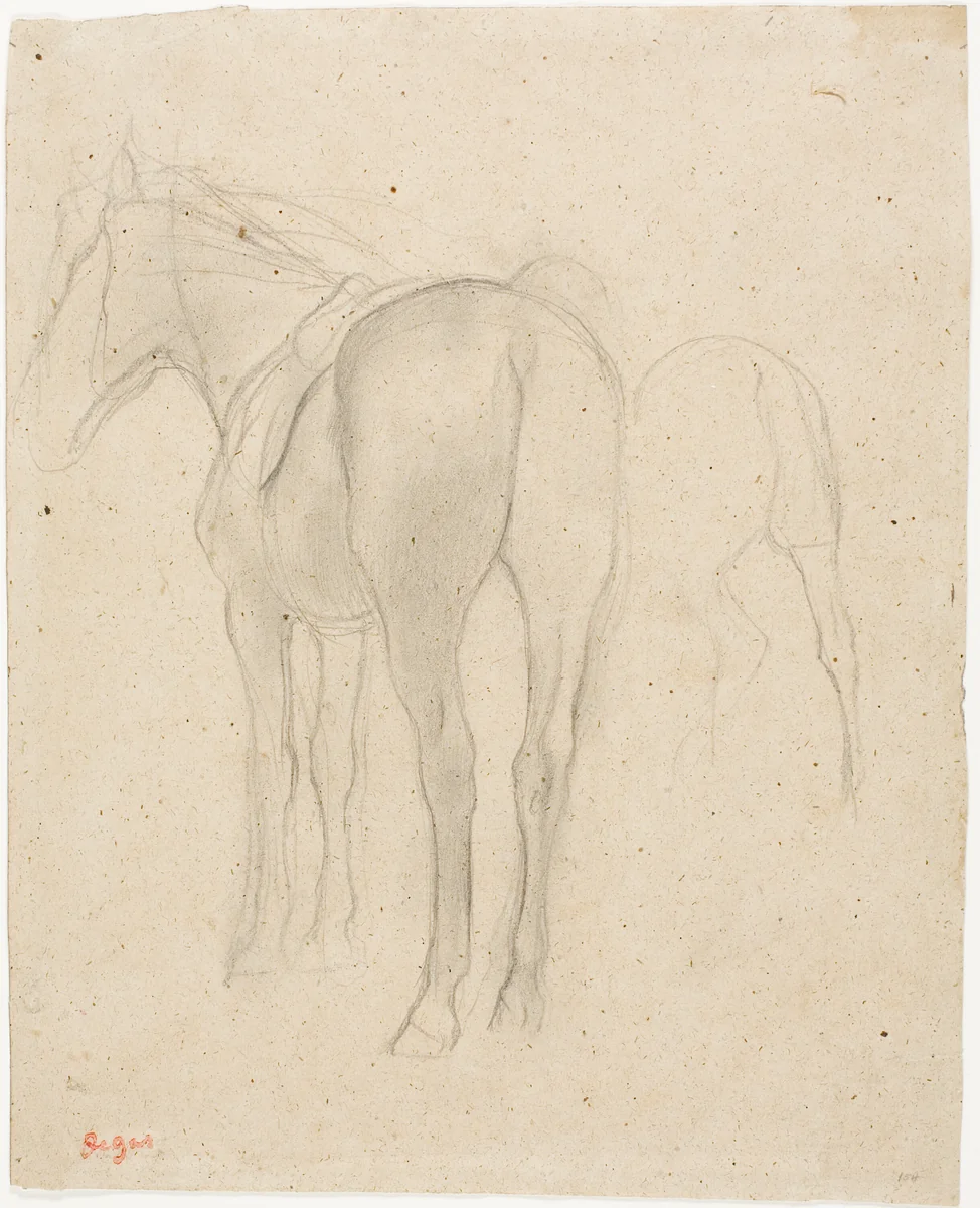 Studies of a Horse by Edgar Degas, drawing, 1868-1875