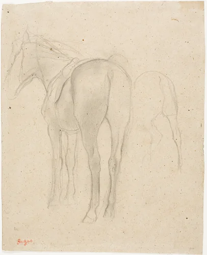 Studies of a Horse by Edgar Degas, drawing, 1868-1875
