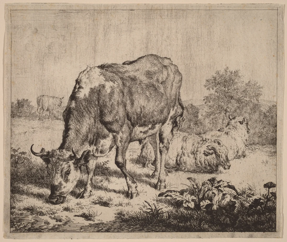 Spotted Bull and Three Sheep by Adriaen van de Velde, print, 1670