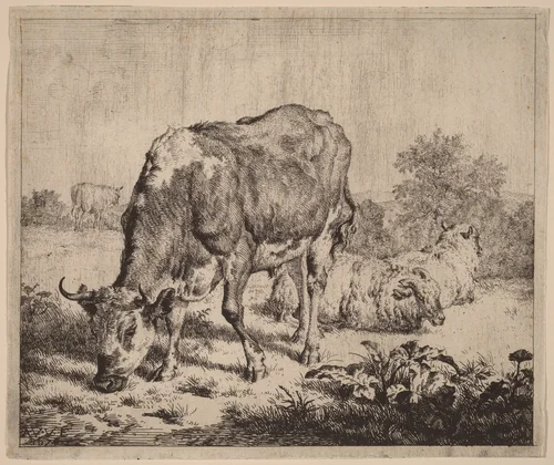 Spotted Bull and Three Sheep by Adriaen van de Velde, print, 1670