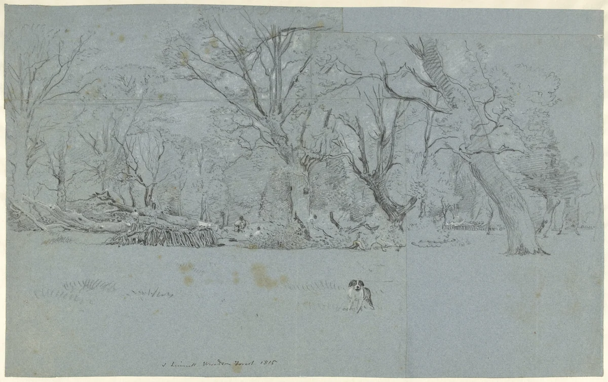 Gezicht in het bos te Windsor by John Linnell, drawing, 1815