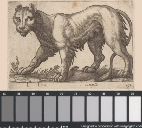 Leeuwin by Antonio Tempesta, print, 1565-1630