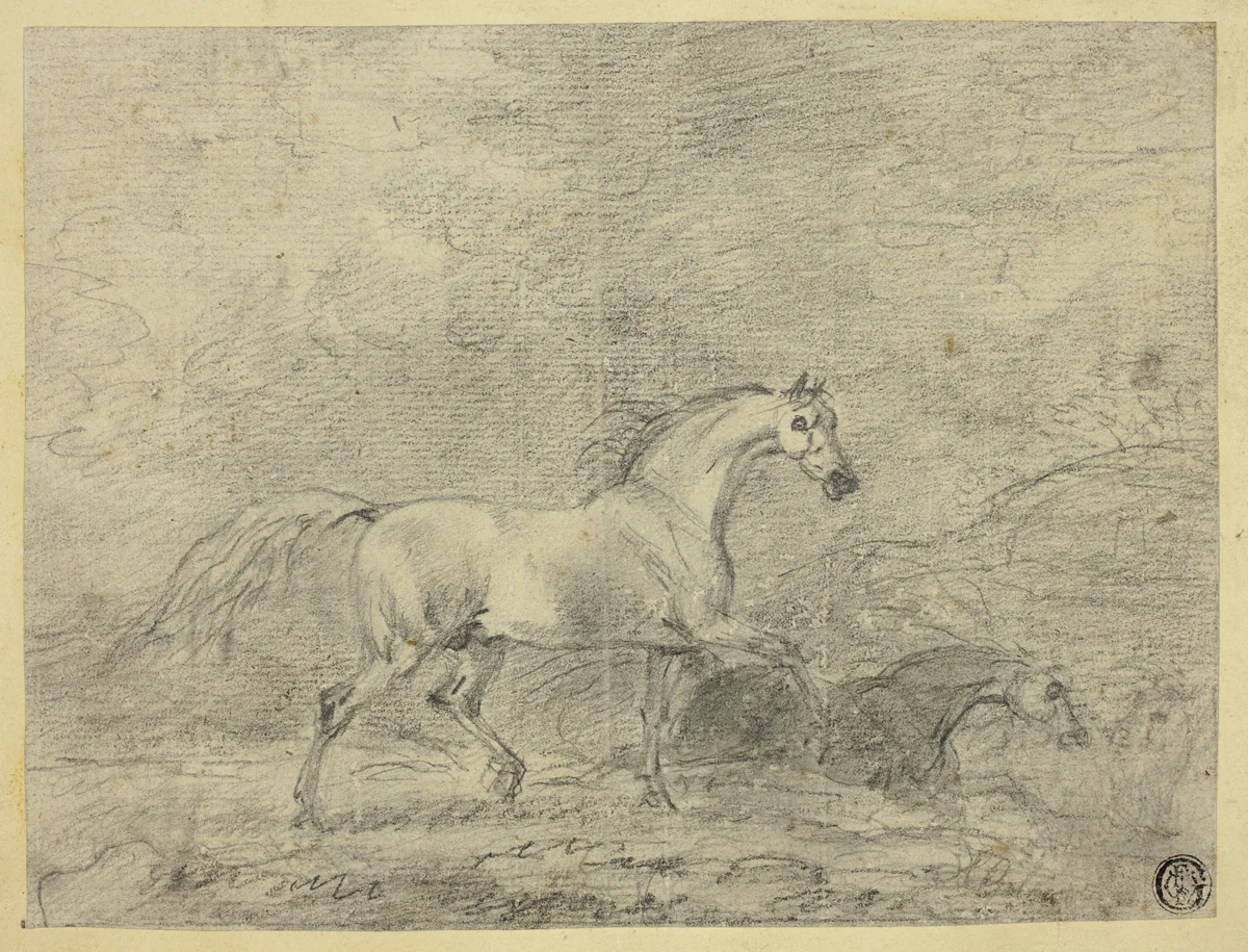 Horses by Sawrey Gilpin, drawing, 1753-1807