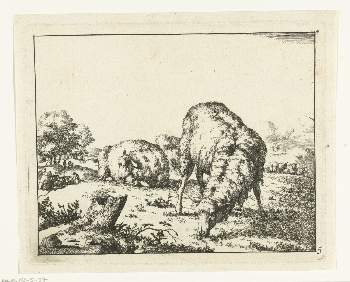 Grazend schaap, bij boomstronk by Marcus de Bye, print, 1664
