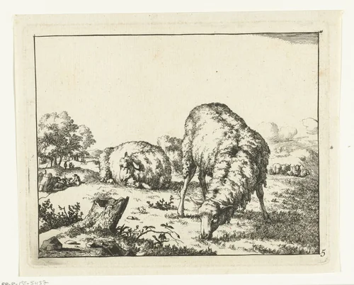 Grazend schaap, bij boomstronk by Marcus de Bye, print, 1664