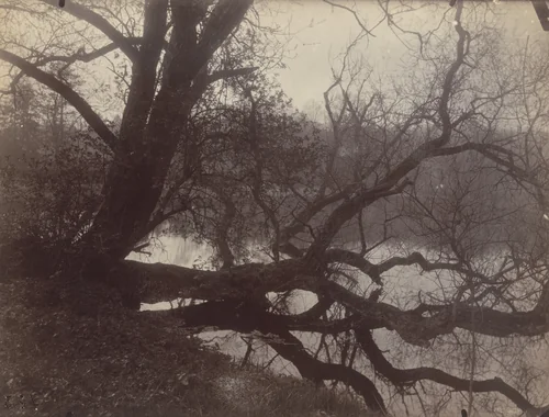 Étang de Corot by Eugène Atget, photograph, 1925