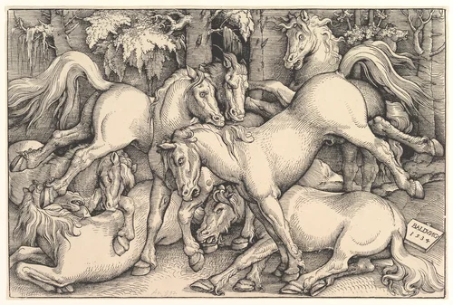 Group of Seven Horses by Hans Baldung, print, 1534